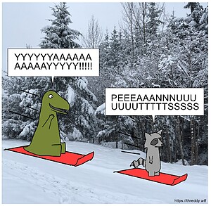Snow Sledding