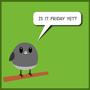 Friday